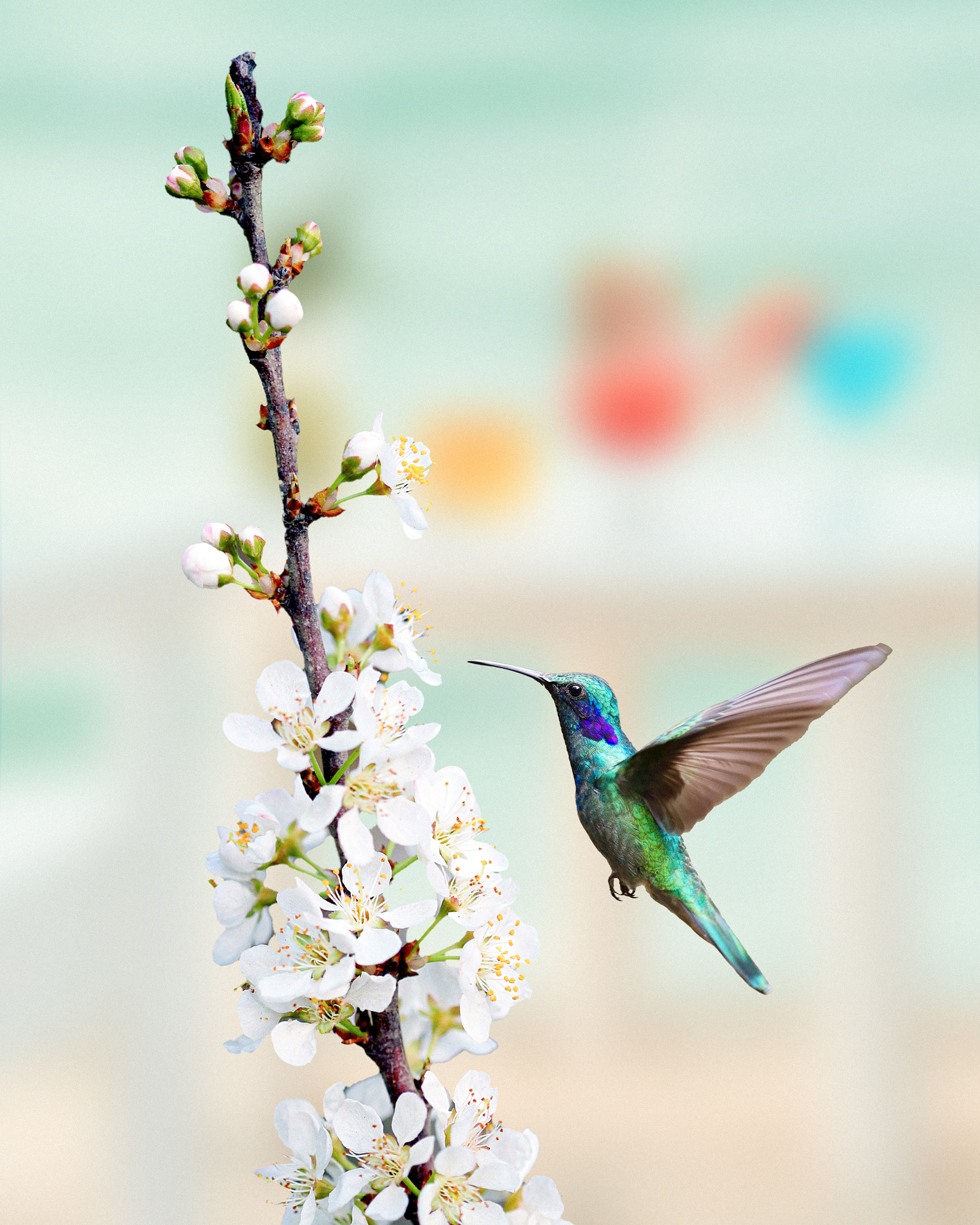 Your Artwork Description